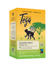 Load image into Gallery viewer, Organic Ginger Mint Herbal Tea